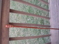 Cane 4.jpg