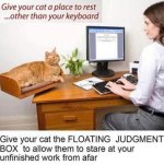 FLOAT.jpeg