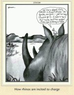 rhino charge.jpg