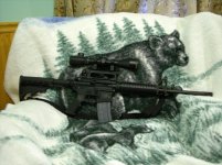 M & P 15 with  NCstar 3x12x50E resize.jpg