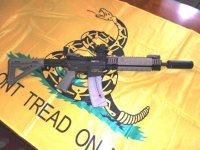 M&P 15-22 with Fake suppressor 001-Email size.jpg