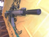 M&P 15-22 with Fake suppressor 003-Email size.jpg