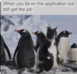 LIE.jpg
