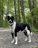 IMG_0257.jpg