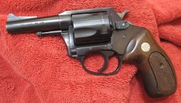Charter Arms Bulldog a.JPG