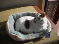 DSCN1772.jpg