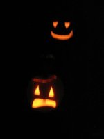 pumkins.jpg