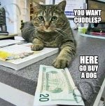 buy dog.jpg