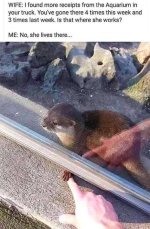 aquarium.jpg