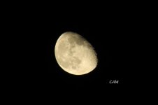 IMG_5801.jpg