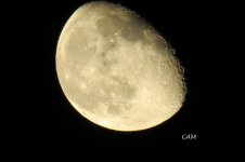 IMG_5800.jpg