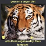 VeganDiet.jpg