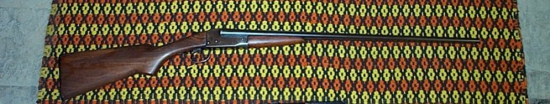 Western arms 410.jpg