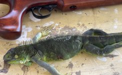 IMG_1786.jpeg