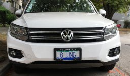VW licence plate.jpg