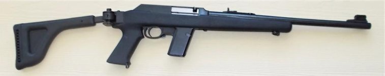 camp carbine.jpg