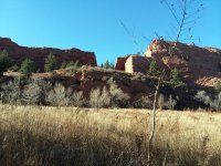 forum_Red-Rock-Canyon_17Nov23_3.jpg