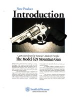 629 Mountain Gun.jpg