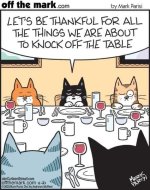 Cat Thanksgiving.JPG