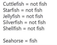 Not fish.JPG