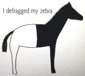 Defragged my zebra.JPG