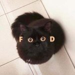 FOOD.jpg