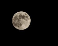 _DSC0010.jpg