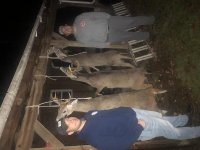 IMG_8067.jpg