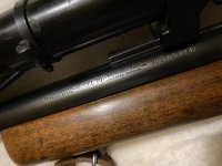 IMG_1378.jpg