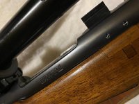 IMG_1380.jpg
