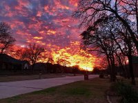 IMG_0221.jpg