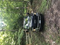 IMG_7486.jpg