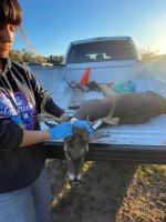 Haiden first buck.jpg