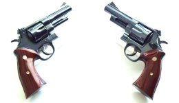 HG.S&W 29 & 27 Custom.jpg