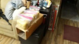 20231208_163727.jpg