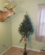 Deer Hunter's Christmas Tree.jpg