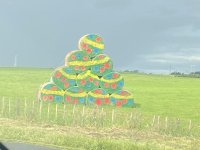 IMG_0498.jpg