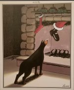 doberman.jpg