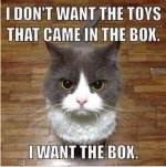 I want the box.jpg