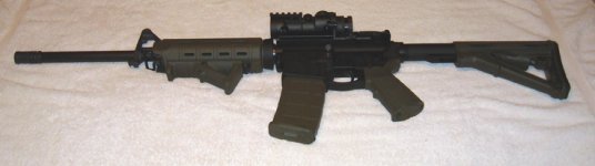 PAL1.jpg