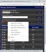 Manage Attachmets.jpg