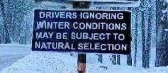 selection.jpg