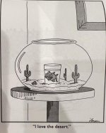 desert fish.jpg
