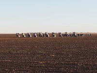 CadRanch01.jpg
