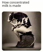 concentrated milk.jpg