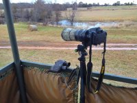 Zoom Camera  (2).jpg