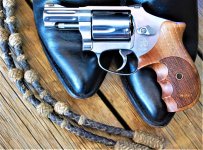 640 Pro, Karl Nill Centennial grips (2).jpg