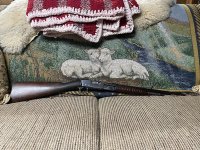 IMG_0903.jpg