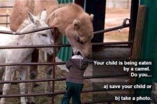 save child take photo.jpg