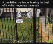 FENCE.jpeg
